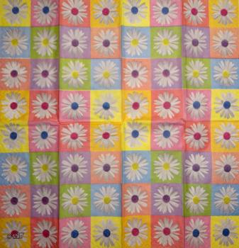 348 Daisies - 3-ply - CS